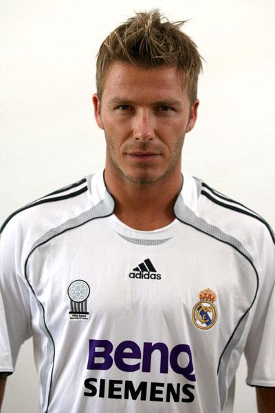 david