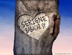 serigne babacar